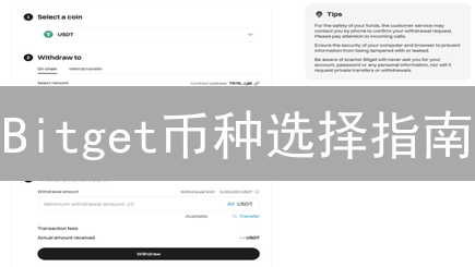 Bitget币种选择指南：解密交易盈利，精选优质加密货币