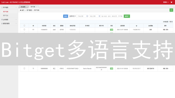 Bitget多语言支持：全球用户的数字资产桥梁