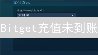 Bitget充值未到账？原因剖析与解决策略，助您快速找回资金