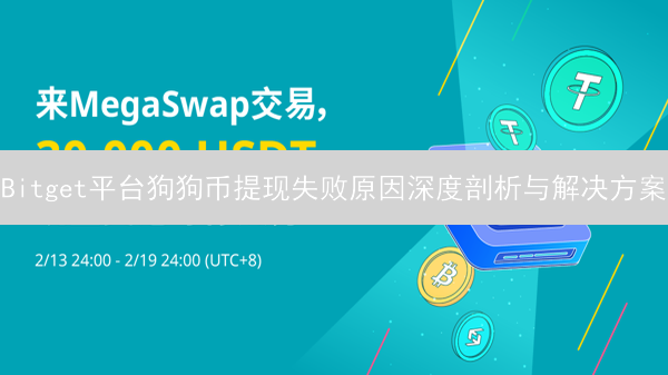 Bitget平台狗狗币提现失败原因深度剖析与解决方案