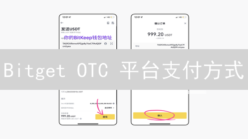 Bitget OTC 平台支付方式：是否支持支付宝支付深度解析