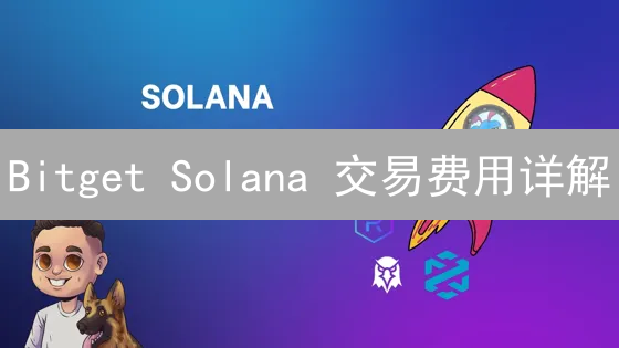 Bitget Solana 交易费用详解：如何省钱？（2024 最新版）
