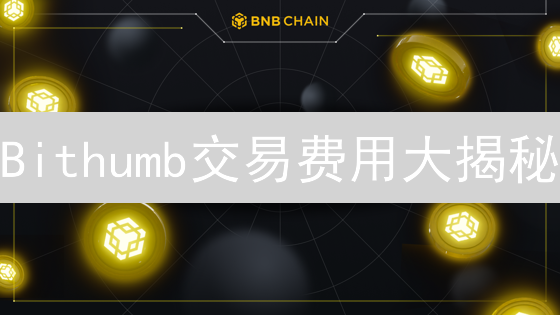 Bithumb交易费用大揭秘：BNB抵扣，省钱新姿势？