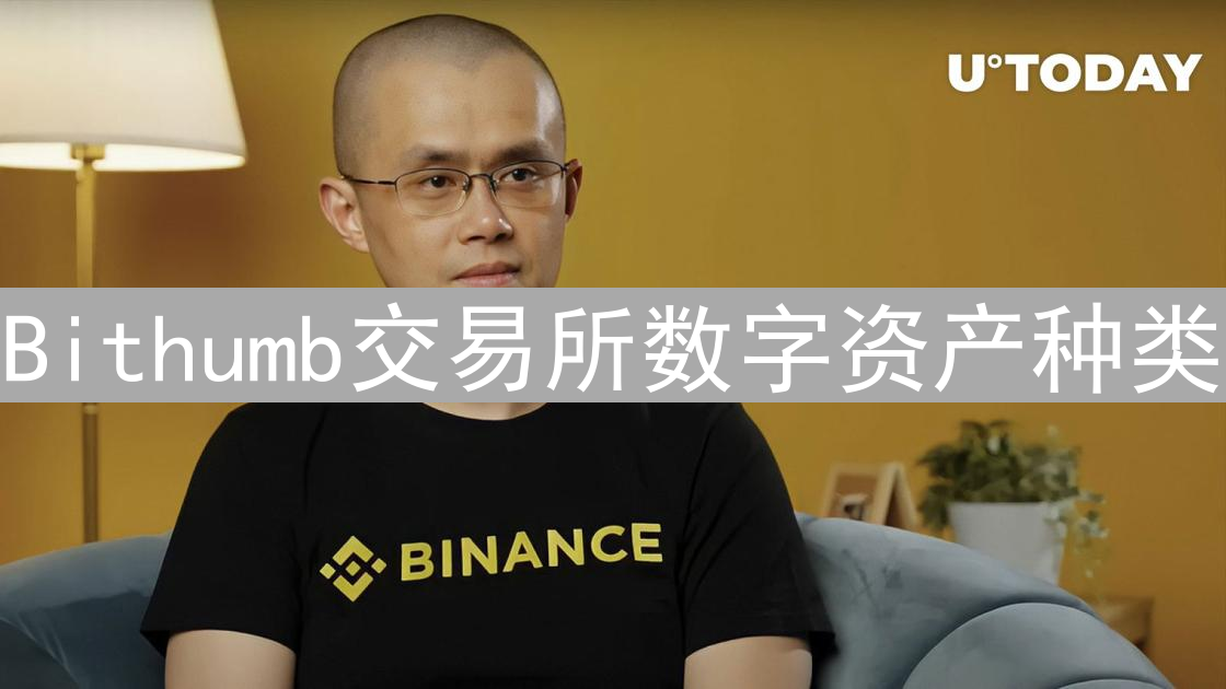Bithumb交易所数字资产种类：探索琳琅满目的加密货币世界