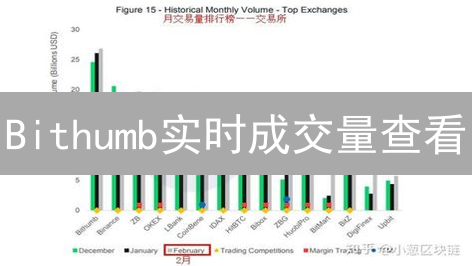 Bithumb实时成交量查看：掌握市场交易脉搏