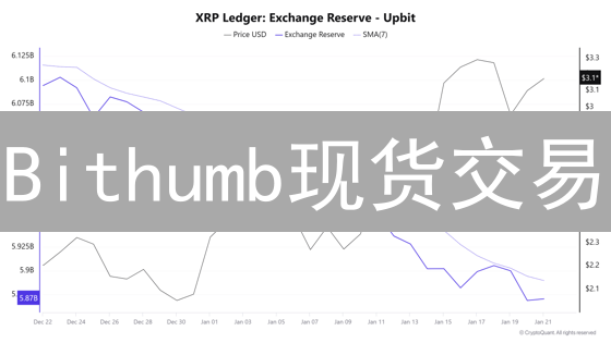 Bithumb现货交易：技巧指南与风险控制