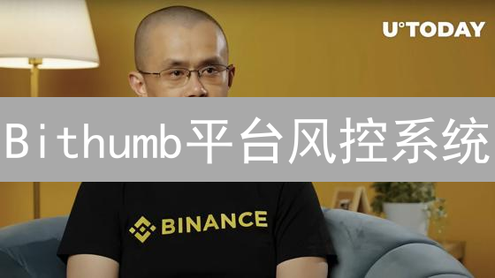 Bithumb平台风控系统：数字资产守护者深度解析