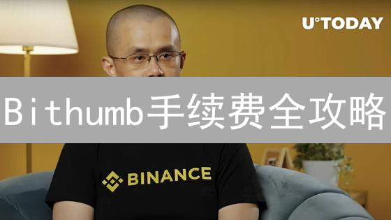 Bithumb手续费全攻略：解锁更低交易成本的秘诀