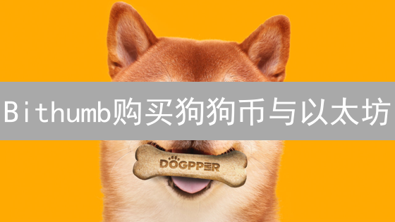 Bithumb购买狗狗币与以太坊：最经济实惠途径深度解析