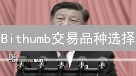 Bithumb交易品种选择：技巧与策略详解