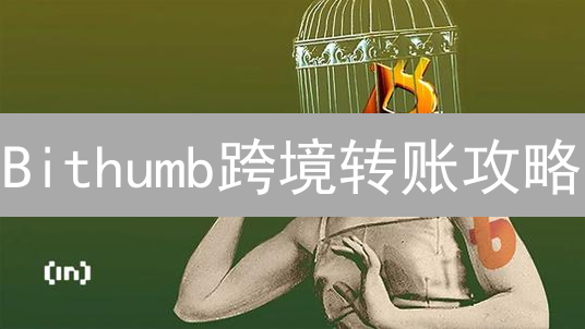 Bithumb跨境转账攻略：安全高效，避免资金损失！