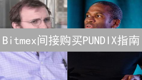Bitmex间接购买PUNDIX指南：策略与风险分析