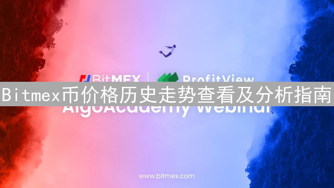 Bitmex币价格历史走势查看及分析指南