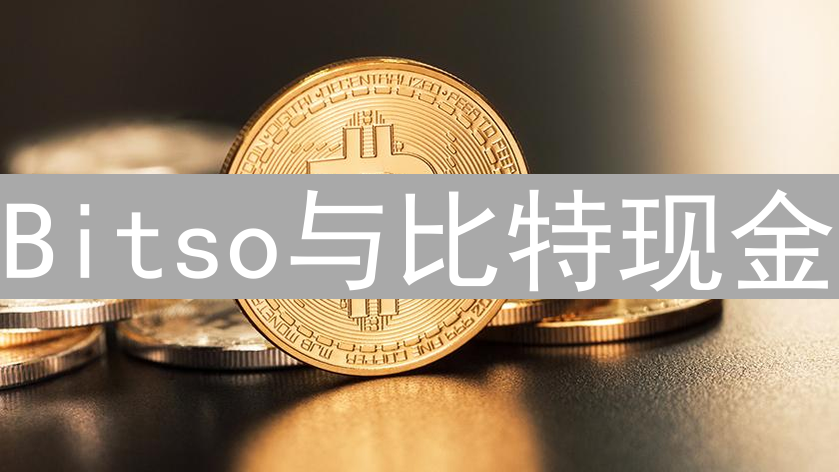 Bitso与比特现金：交易平台上的数字资产选择策略