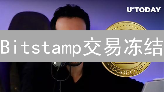 Bitstamp交易冻结：用户权益与交易所责任深度解析