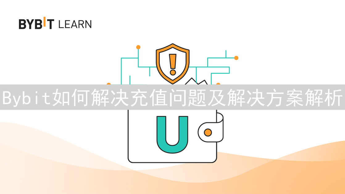 Bybit如何解决充值问题及解决方案解析
