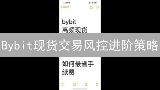 Bybit现货交易风控进阶策略：不止损止盈的全面解析