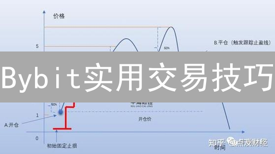 Bybit实用交易技巧：风险管理与技术分析，助您洞察市场先机