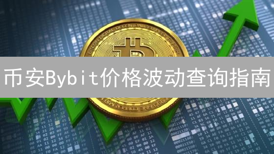 币安Bybit价格波动查询指南：把握市场先机