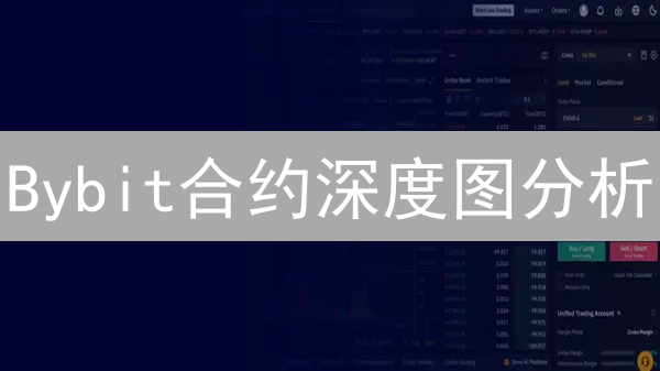 Bybit合约深度图分析：技巧与应用详解