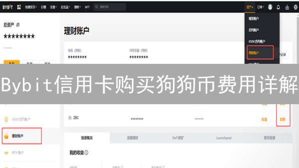 Bybit信用卡购买狗狗币费用详解：隐藏成本解析