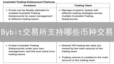 Bybit交易所支持哪些币种交易？全面币种分析
