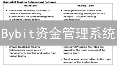 Bybit资金管理系统：优势分析与安全保障