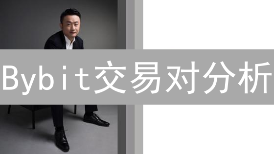Bybit交易对分析：挖掘盈利机会的深度指南