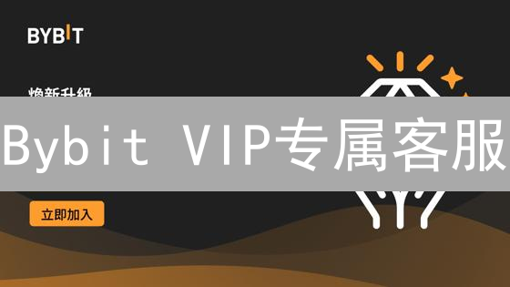 Bybit VIP专属客服：尊享加密货币交易极致体验