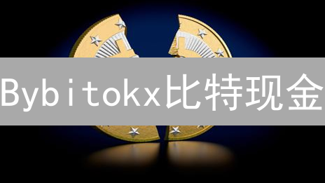 Bybitokx比特现金：数字资产新视角的探索
