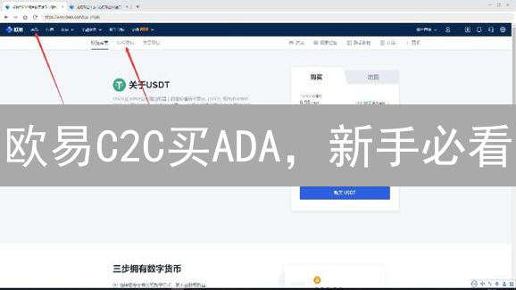 欧易C2C买ADA，新手必看：3招精通卡尔达诺投资！