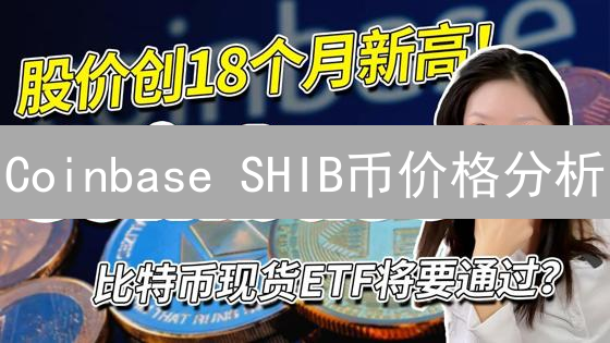 Coinbase SHIB币价格分析：波动中的机遇与风险