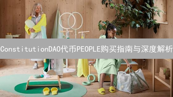 ConstitutionDAO代币PEOPLE购买指南与深度解析
