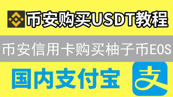 币安信用卡购买柚子币EOS：新手详细流程指南