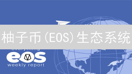 柚子币(EOS)生态系统：优势、性能与开发者友好性分析