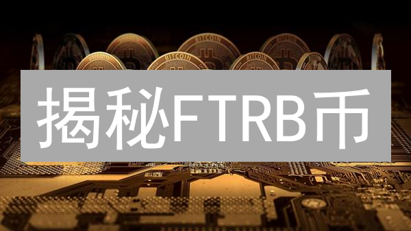揭秘FTRB币：下一个百倍币？投资前必看！