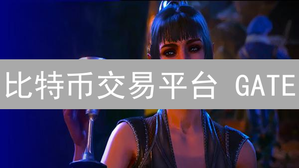 比特币交易平台 GATE：机会与风险并存？深度解析！