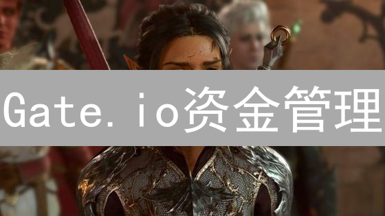Gate.io资金管理：加密资产精细化掌控指南