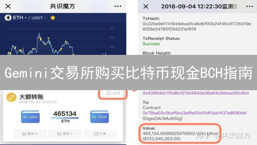 Gemini交易所购买比特币现金BCH指南：安全合规操作详解