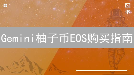 Gemini柚子币EOS购买指南：新手也能轻松上手？