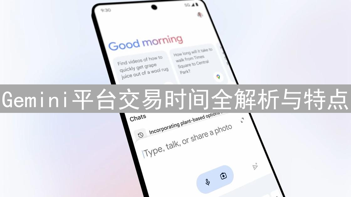 Gemini平台交易时间全解析与特点