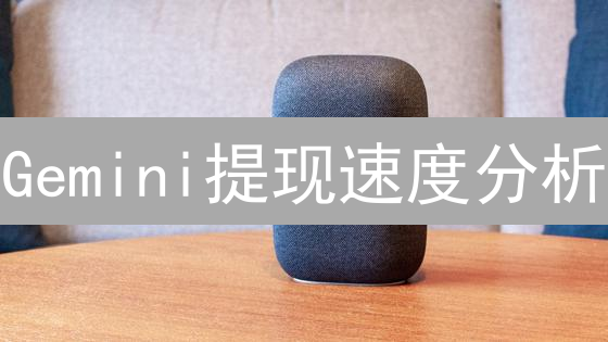 Gemini提现速度分析：速度、安全与策略优化