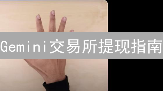 Gemini交易所提现指南：安全高效提取数字资产