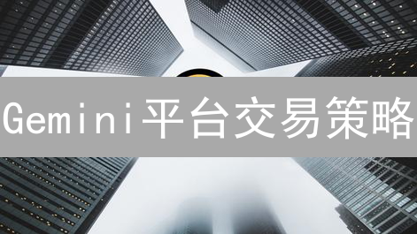 Gemini平台交易策略：合规与精细并重