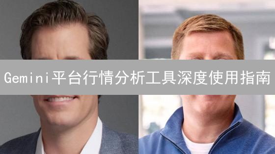 Gemini平台行情分析工具深度使用指南