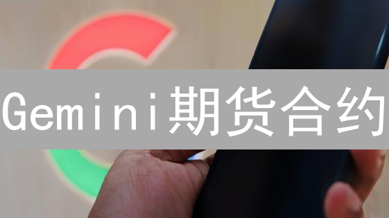 Gemini期货合约：连续合约与到期合约风险分析