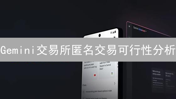 Gemini交易所匿名交易可行性分析：隐私与监管的博弈