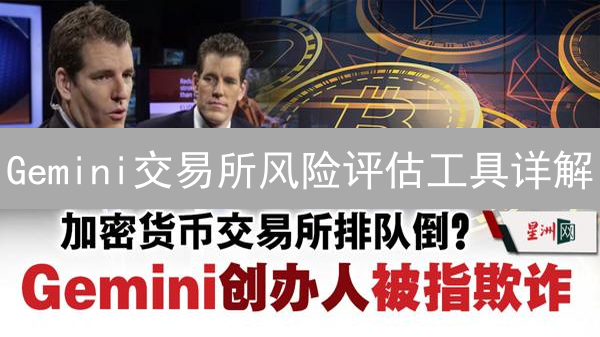 Gemini交易所风险评估工具详解：降低损失，提高收益【必看】