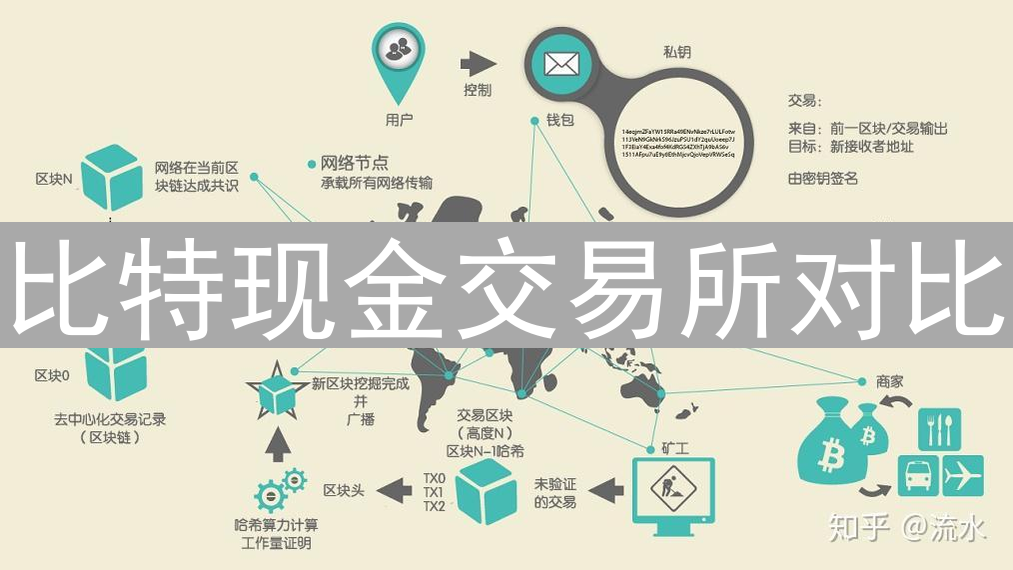 比特现金交易所对比：币安与HTX的优劣势分析