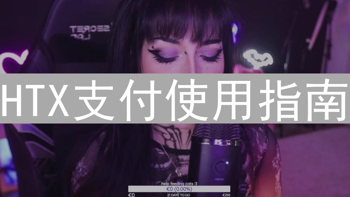 HTX支付使用指南：功能详解与入门技巧